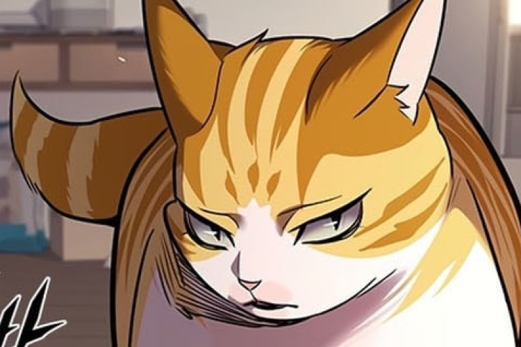 Read Manhwa Eleceed Chapter 392 English Scan, The Search for Missing Jisuk