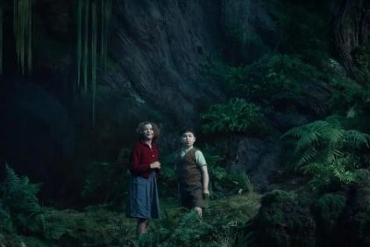 6 Crucial Facts About The Chronicles of Narnia: The Magician's Nephew Release Date and Production Status