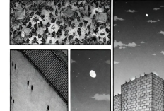 While Xin Fights on the Front Lines, Spoiler Room to KINGDOM Chapter 890 English Translation