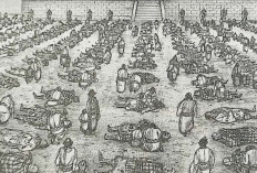 Read Kingdom Chapter 834 English Subtitle, Hundreds Of Thousands Of Lives Lost In War