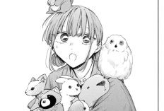 Spoilers of Manga Blue Box (Ao no Hako) Chapter 218 English Subtitle, Feelings Cannot Be Deceived